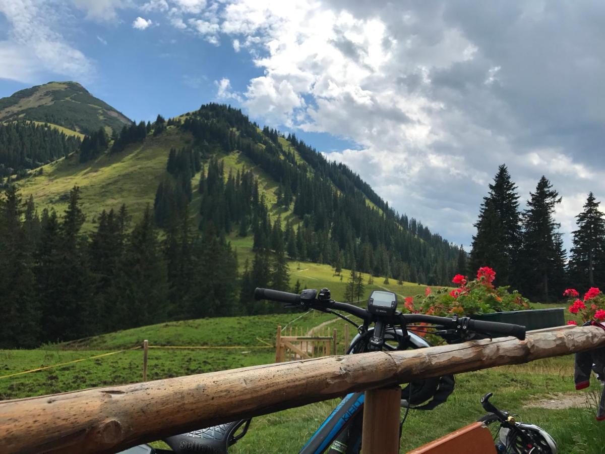 Bayern Resort Hotel - Adults Only - Mit Zugspitzblick - Eibsee-Naehe - Wellnessbereich - Naturpool Im Sommer ไกรน์เนา ภายนอก รูปภาพ